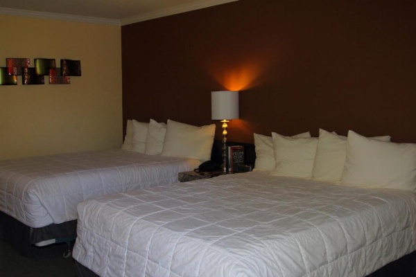 Tea Garden Lodge image 22